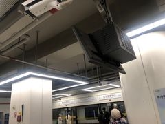 -东方体育中心(地铁站)