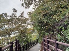 -羚羊峡古栈道森林公园