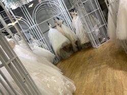 -韩国天使嫁衣婚纱礼服馆(上海旗舰店)