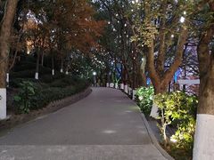 -天目湖山水园