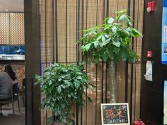 -满来寿喜烧(金虹桥店)
