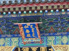 -颐和园
