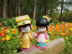 -上海共青森林公园