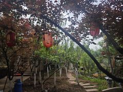 -正宗火盆自助烧烤·烤全羊·柴火鸡(龙泉山店)