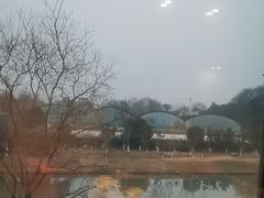 -丽华园(青少年宫店)