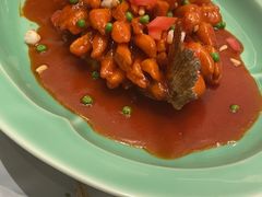-西湖春天(中州店)