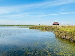 -宁波杭州湾国家湿地公园