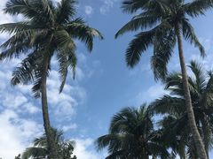 -东郊椰林