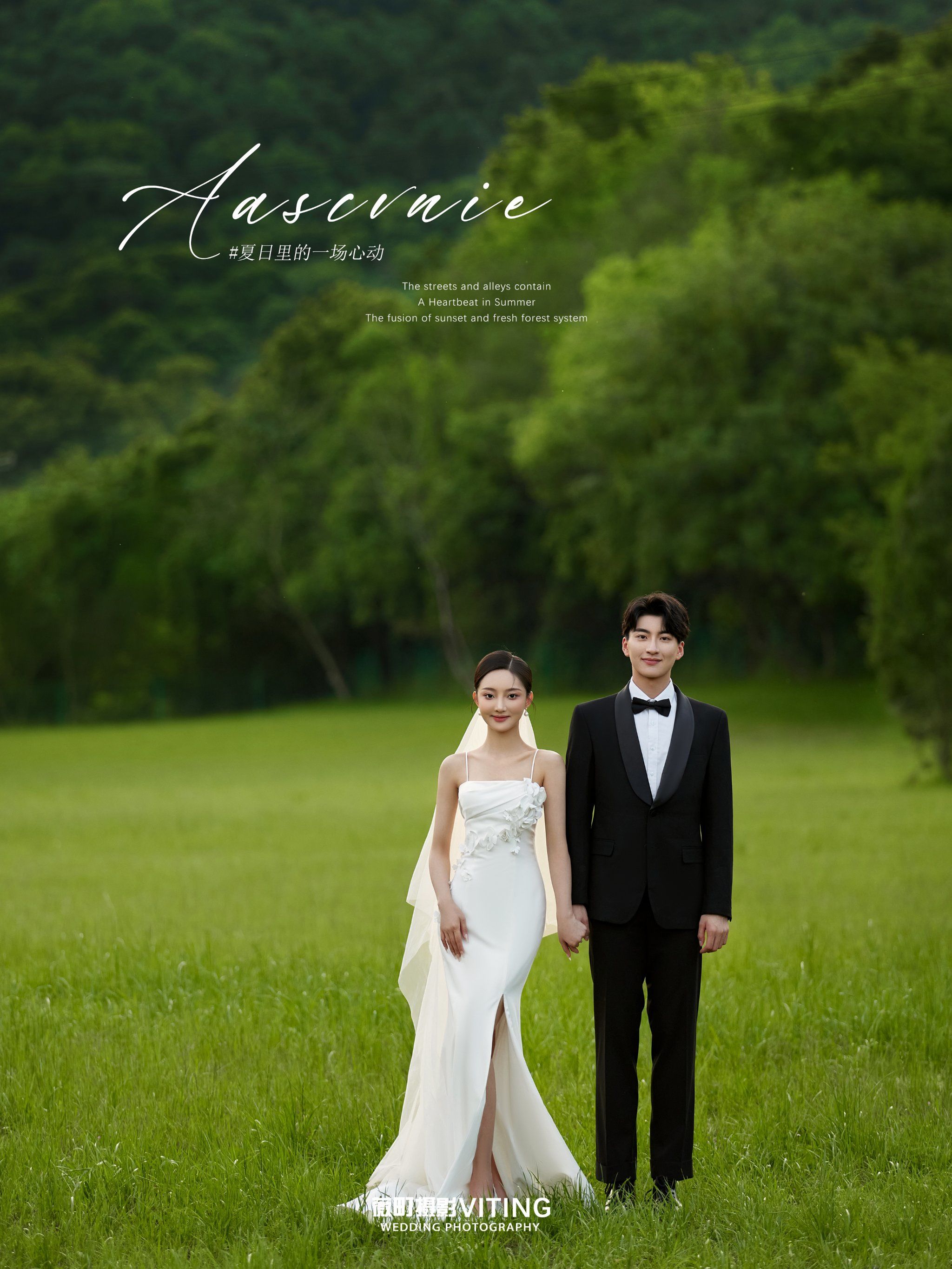 超治愈的森系草坪婚纱照做手机壁纸也太美了