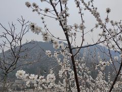 -居庸关长城