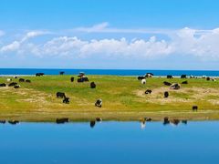 -青海湖国家重点风景名胜区