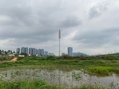 -光明小镇欢乐田园