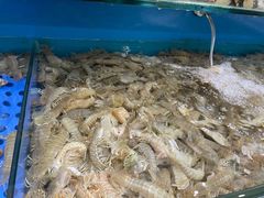 -港畔赶海蒸汽海鲜烧烤自助(仙螺岛店)