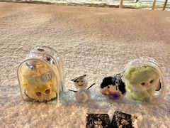 -汉长安城未央宫国家考古遗址公园