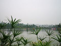 -枫香湖儿童公园