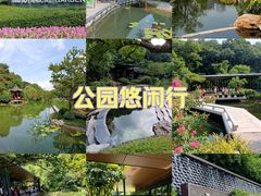 -云溪植物园