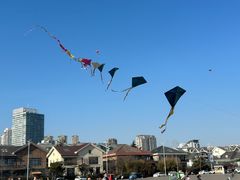 -黑石礁公园
