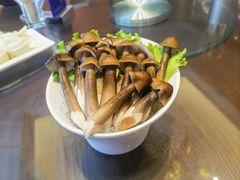 鸡枞菌-东海怡品海鲜豆捞(舟宿夜江店)