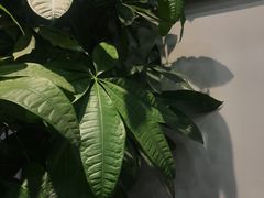-东门七爷螺蛳粉(浦东店)
