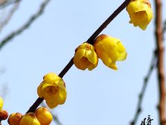 -月坛公园