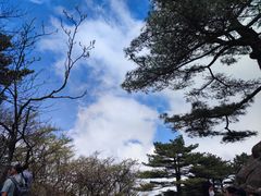 -黄山风景区