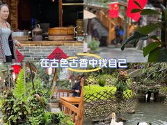 -青城甲(青城山店)