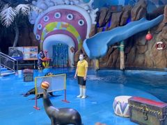 -烟台海昌鲸鲨海洋公园