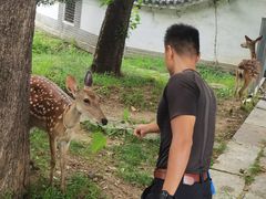 -观唐（国际）度假村温泉