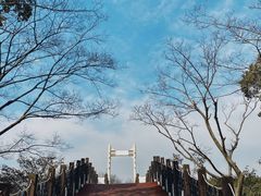 -长广溪湿地公园