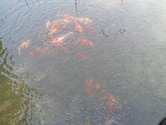 -八卦田遗址公园