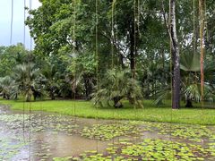 -中国科学院西双版纳热带植物园
