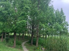 -澹台湖公园