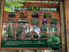 -西双版纳原始森林公园