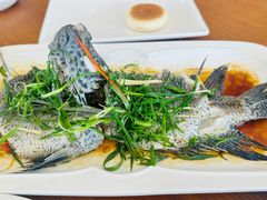 -大地土窑菜馆·特色罗浮农家菜(罗浮山景区店)