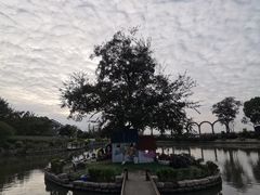 -鹅湖玫瑰文化园