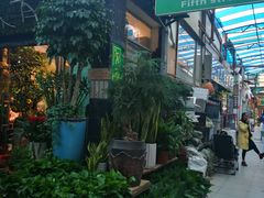-武汉花鸟市场