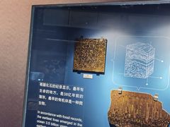 -正佳自然科学博物馆