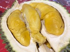 -都念榴莲·城市榴莲