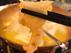 -鲜入围煮花胶鸡海鲜火锅