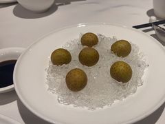 -南麓·浙里(外滩店)