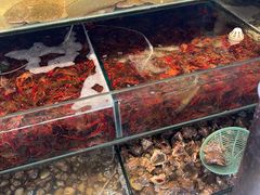 -仙螺岛海鲜自助餐厅(总店)