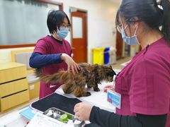-美联众合动物医院·24h转诊中心
