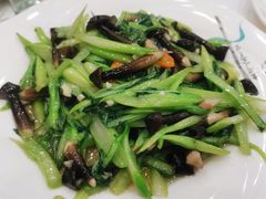 鸡枞菌炒菜心-老苏扬饭店