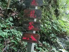 -夏霖九天银瀑风景区