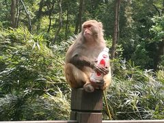 -黔灵山公园-南门售票处