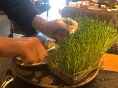 豆苗-盡膳口福跷脚牛肉火锅(北美新天地店)