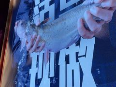 -老板恋上鱼(恒隆广场店)