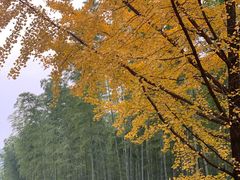 -天目湖御水温泉·度假酒店