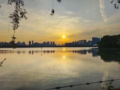 -天鹅湖体育公园