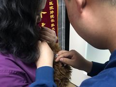 -美联众合宠物医院·爱萌分院·内外科·猫科中心